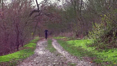Runner in the park Stock Footage 84992690
