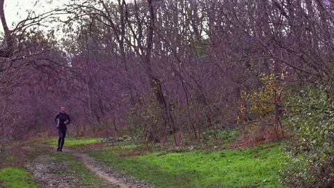 Runner in the park Stock Footage 84992720