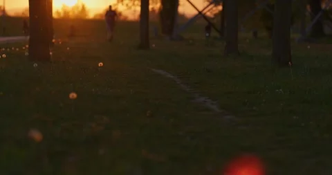 Runner on path at sunset 스톡 동영상 332511426