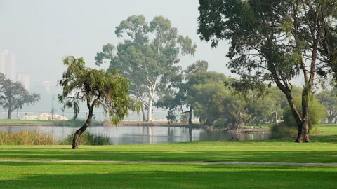 Runner runs along path by lake with city in background shrouded by smokey haze Stock-Footage 153411633
