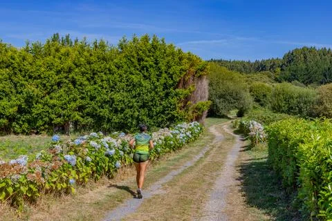 Runner on a rural flower-lined path Stock Photos