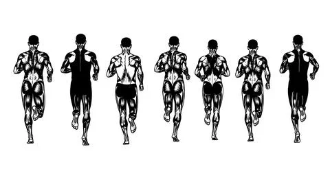 Runner Silhouettes from a Rear View Perspective Stock Illustration