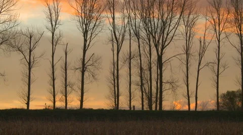 Runner silouhette against a autumn sunset Stock Footage 5094249