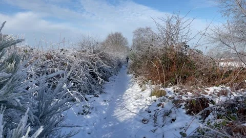 Runner on snow covered country path 110125 Stock Footage 297582587