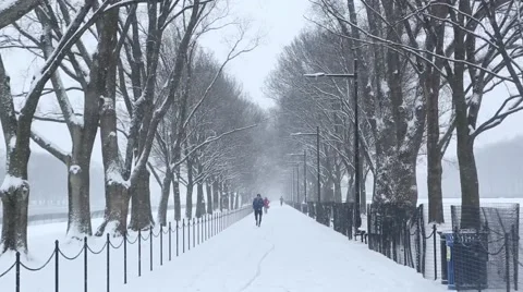 Runner in the Snow on National Mall Video stock 45717837