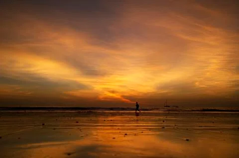 Runner at sunset. Stock Photos