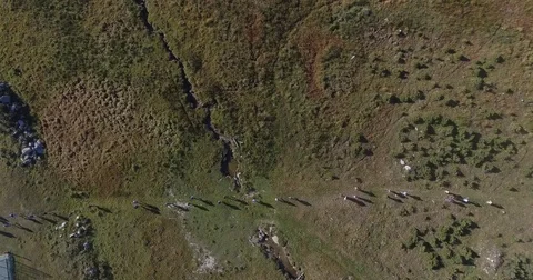 Runner from the top Stock-Footage 81430516