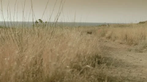 Runner at the training 2 Stock Footage 12128685