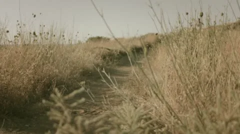 Runner at the training 3 Stockbeeldmateriaal 12129483