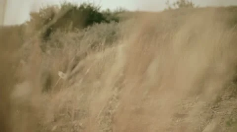 Runner at the training 5 Stock Footage 12127045