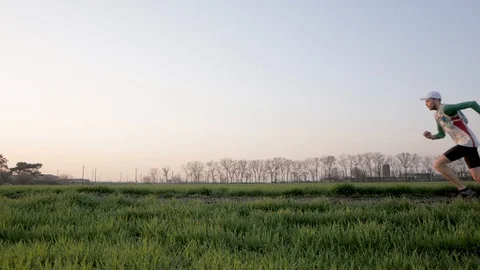 Runner training in fields Stock Footage 91177585