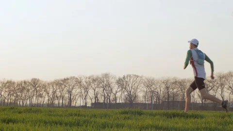 Runner training in fields Stock Footage 91177688