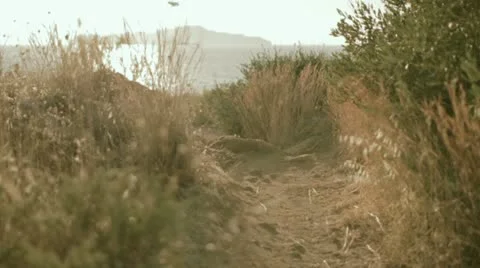 Runner at the training Vídeos de archivo 12123889