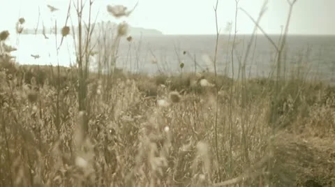 Runner at the training Vídeos de archivo 12132340