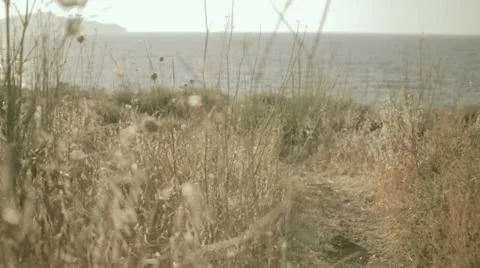 Runner at the training 動画素材 12132589