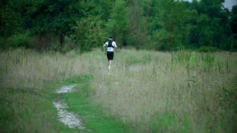 Runner training for marathon jogging along grassy trail through dense meadow Stock Footage 313951353