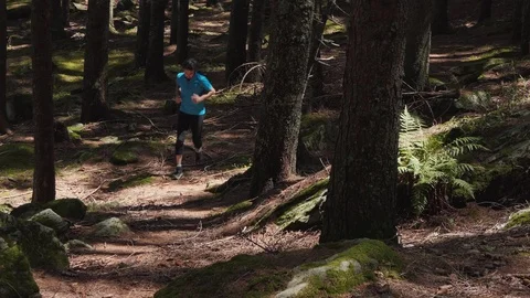 Runner uphill forest Stock-Footage 114177169