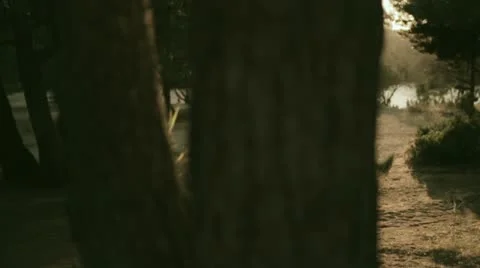 Runner at warm up Stockbeeldmateriaal 12126211