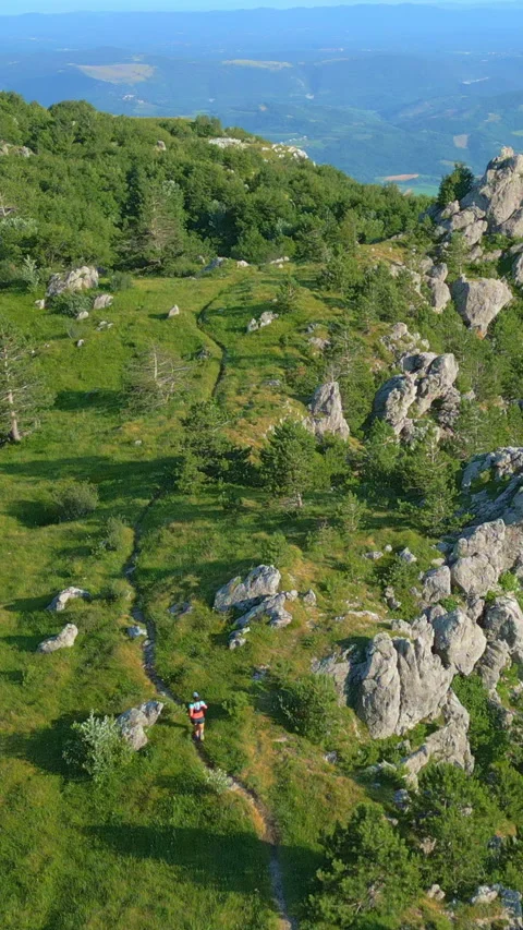 Runner on Winding Mountain Trail with Lush Greenery Vidéo 314202410