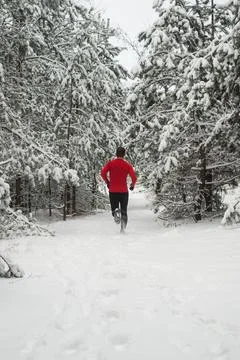 Runner in the winter forest Stock-Fotos