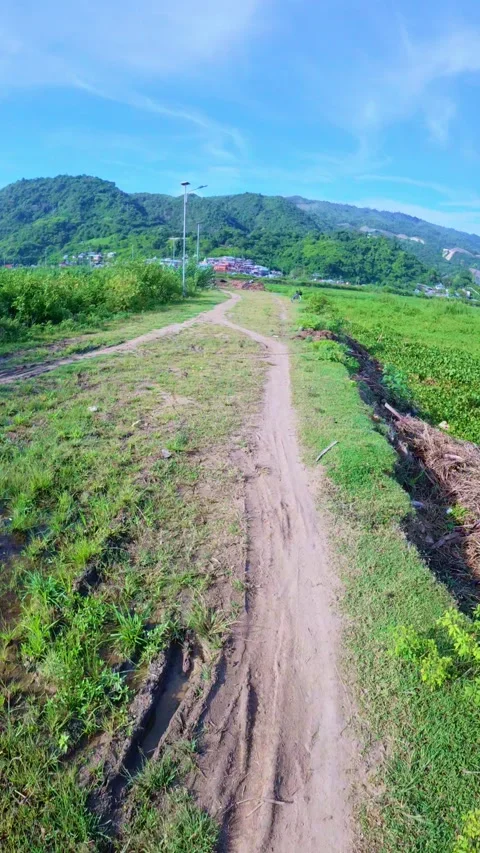 Runner&amp;#039;s Perspective on a Dirt Path. POV Stock Footage 309259482