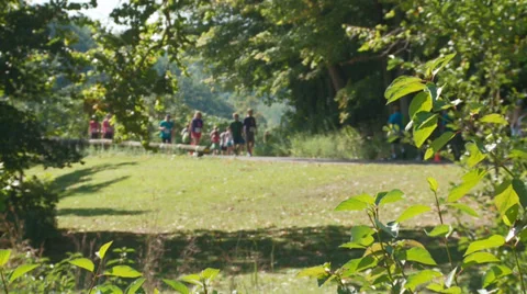 Runners 03 Stock Footage 27819127