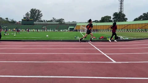 Runners. Athletes Stock Footage 231468698