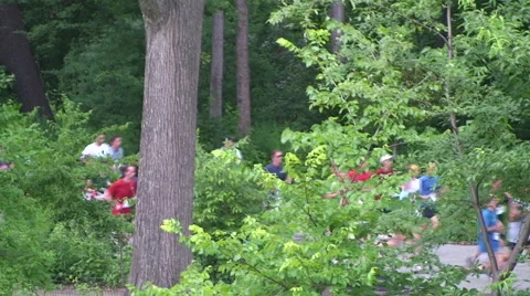 RUNNERS IN CENTRAL PARK NYC THROUGH TREES - 206 Stock-Footage 51475596