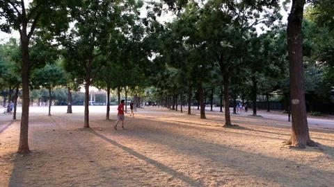 Runners in Champ de Mars Stock Footage 108889561