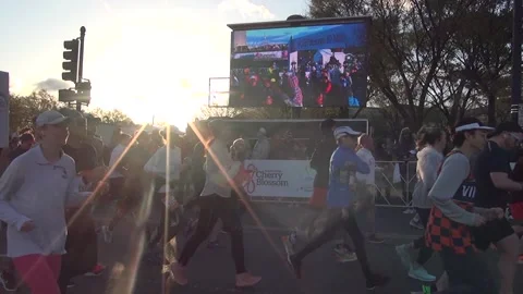 RUNNERS HEAD OUT IN THE 50TH CHERRY BLOSSOM TEN MILE RUN IN WASHINGTON, DC. Video stock 237719840