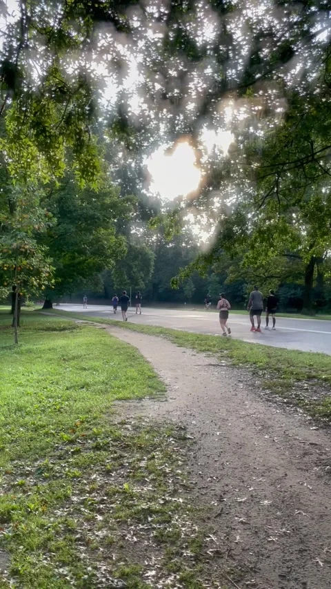 Runners in Park Stock Footage 258598892