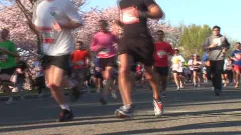 RUNNERS PASS CHERRY BLOSSOM TREES - SPORTFILM 10184R Video stock 50793462