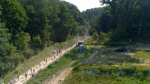 Runners run through the forest, aerial view Stock Footage 120409454