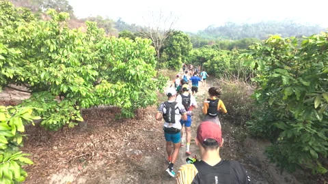 Runners on a running trail in the daytime Видео 303871071