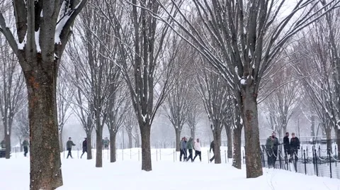 Runners in the Snow and Trees Video stock 45717787