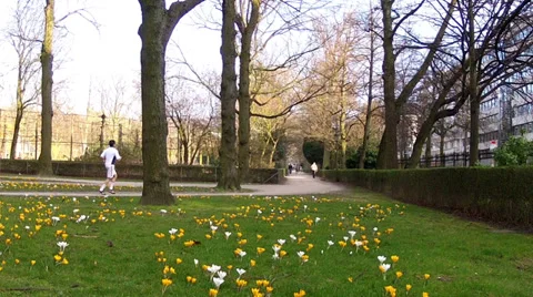 Runners in the spring park. Stock Footage 36178357