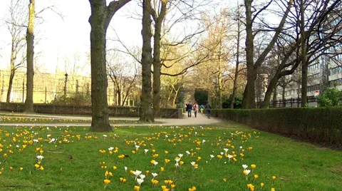 Runners in the spring park. Stock Footage 36178687