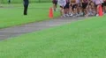 Runners Starting Race HD Footage