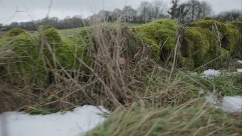 Runners taking on an ultramarathon Stock Footage 147515410