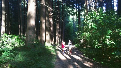Runners through the wood Stock Footage 123233762