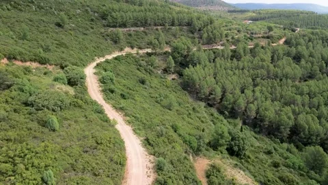 Runners training on a winding mountain trail from an aerial view Stock Footage 336700040