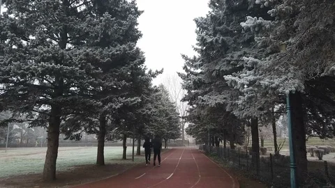 Runners in winter time Video stock 123203000