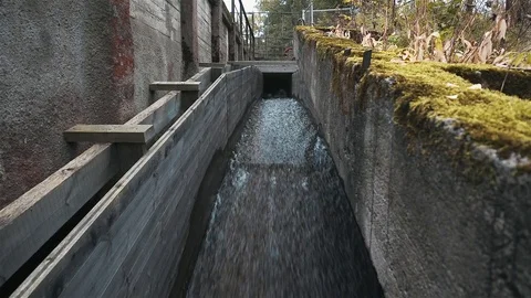 Runng water, tilting upside down 4K Vidéo 80459956