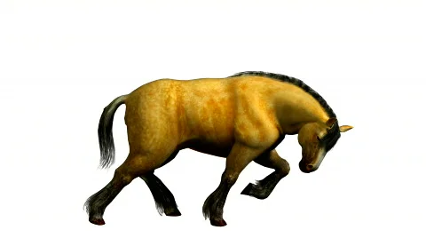 Running 3D horse Stock Footage 141255