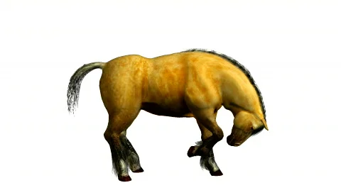 Running 3D horse Stock Footage 141262