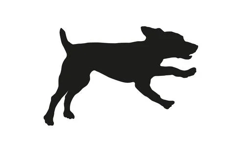 Running and jumping russian spaniel puppy. Black dog silhouette. Pet animals. Stock Illustration