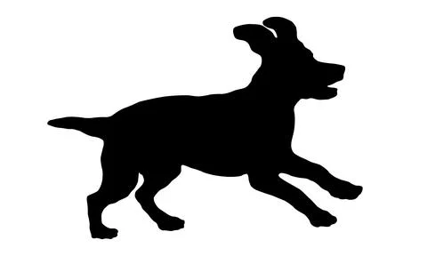 Running and jumping russian spaniel puppy. Black dog silhouette. Pet animals. Stock Illustration