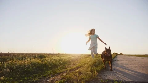 Running and playing with dogs Stock Footage 90142564