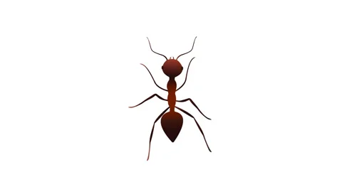 Running ant animation 4K Stock Footage 311871890