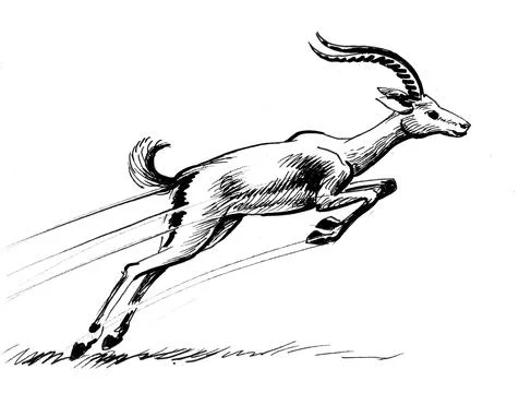 Running antelope Illustrazione stock